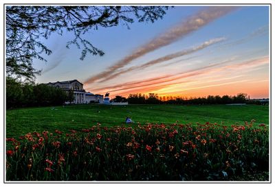 Forest Park and St. Louis Art Museum
