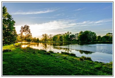 Forest Park at Sunset