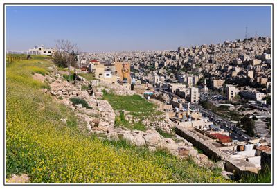 Amman