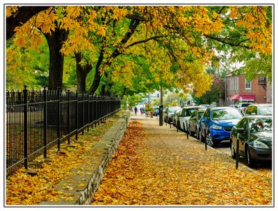 Fall in Soulard