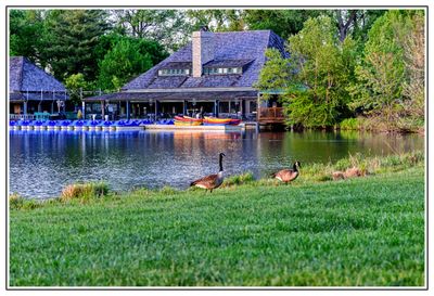 Forest Park Boathouse