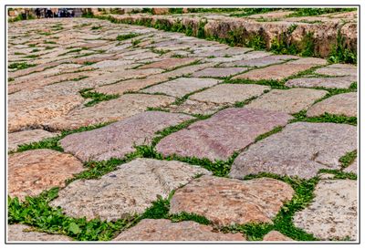 Horse Carriage Marks
