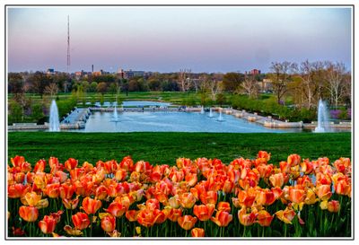 Emerson Grand Basin in Forest Park