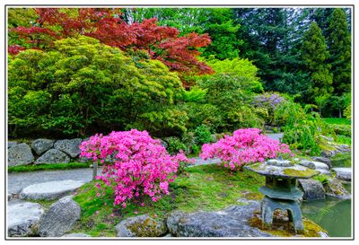 Seattle Japanese Garden