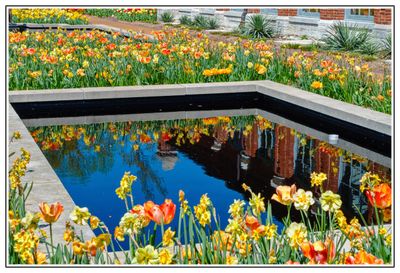 Missouri Botanical Garden