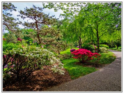 Missouri Botanical Garden