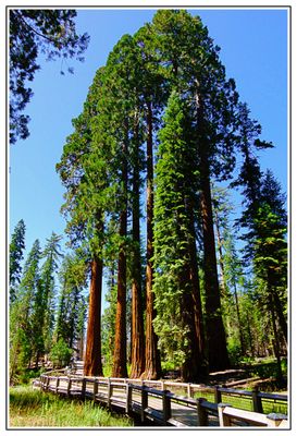 Yosemite National Park