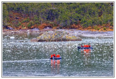 Patagonia: Landscape & Wildlife