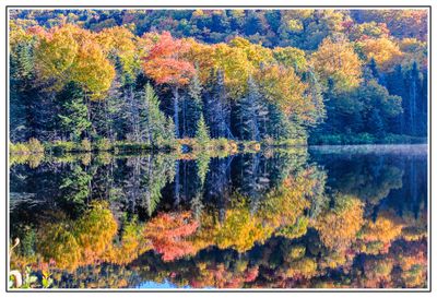 Reflection at Saco Lake