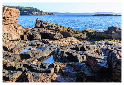 Coast at Thunder Hole