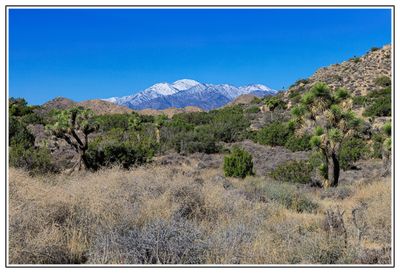 High View Trail
