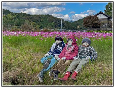 Ehime Prefecture 愛媛県