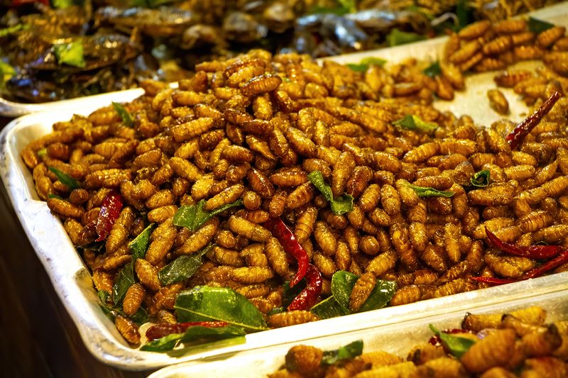 FOOD-13.jpg