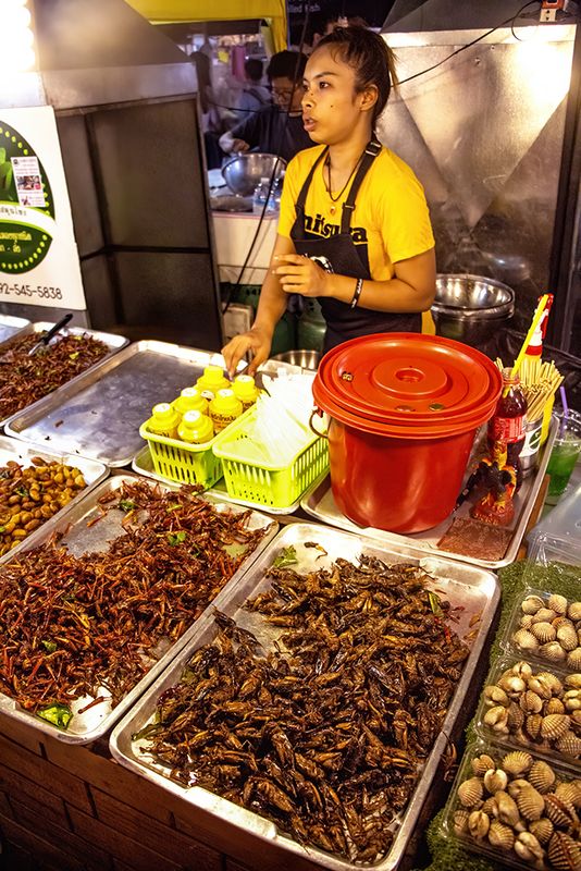 FOOD-16.jpg