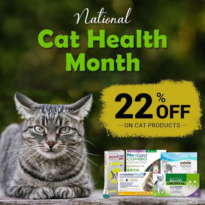 📣Hurry up! Save up to 22% off on this National cat health month