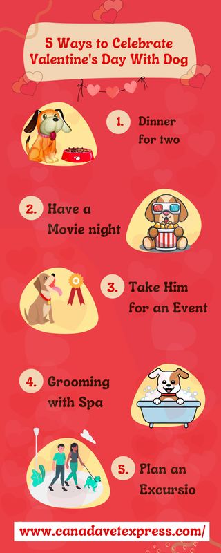 5 Ways to Celebrate Valentine's With Dog.jpg