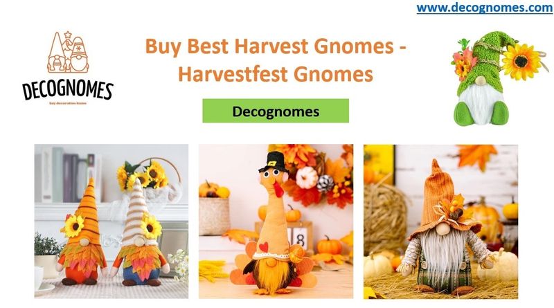 Buy Best Harvest Gnomes - Harvestfest Gnomes  Decognomes