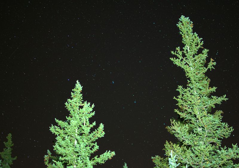 _DSC0025.jpeg