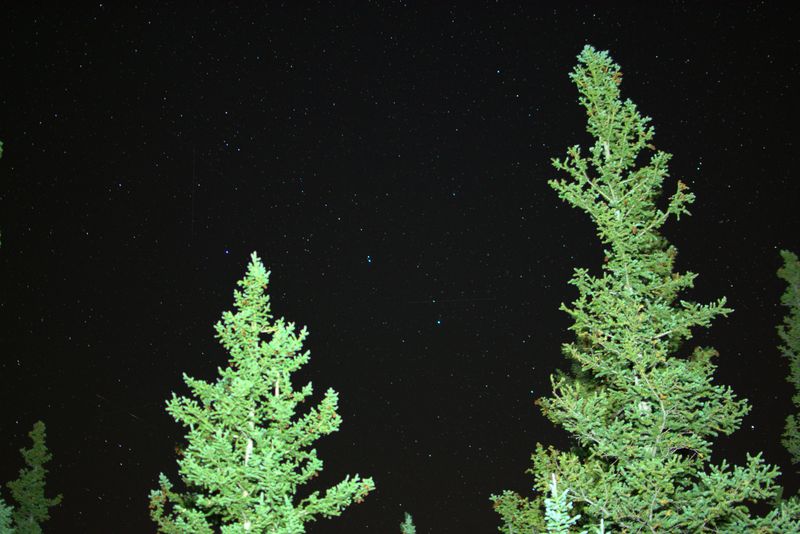 _DSC0026.jpeg