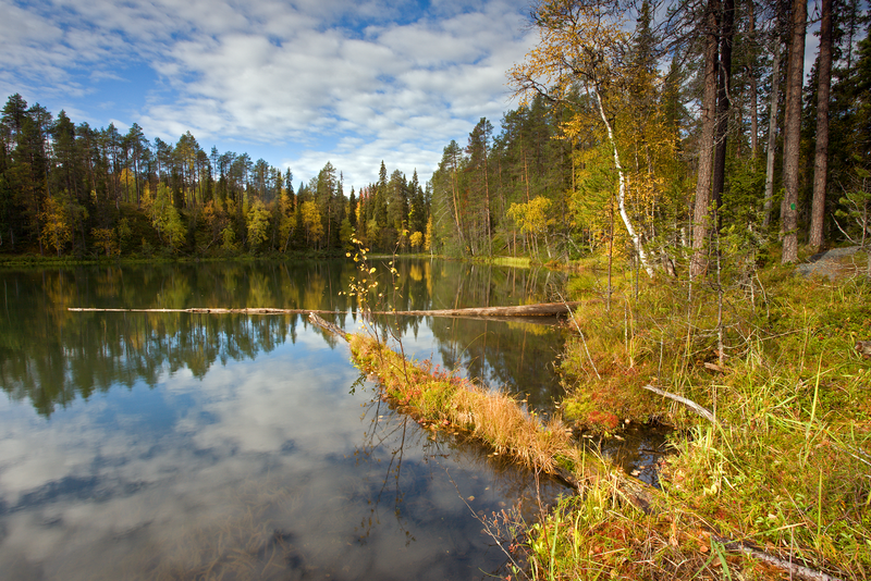 Oulanka National Park: Canyon Trek: Kirkasvetinenlampi