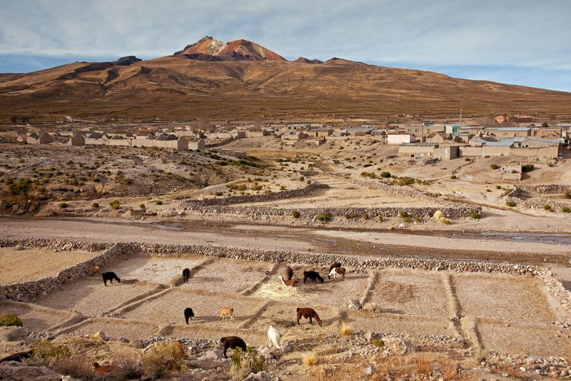 Tahua Village