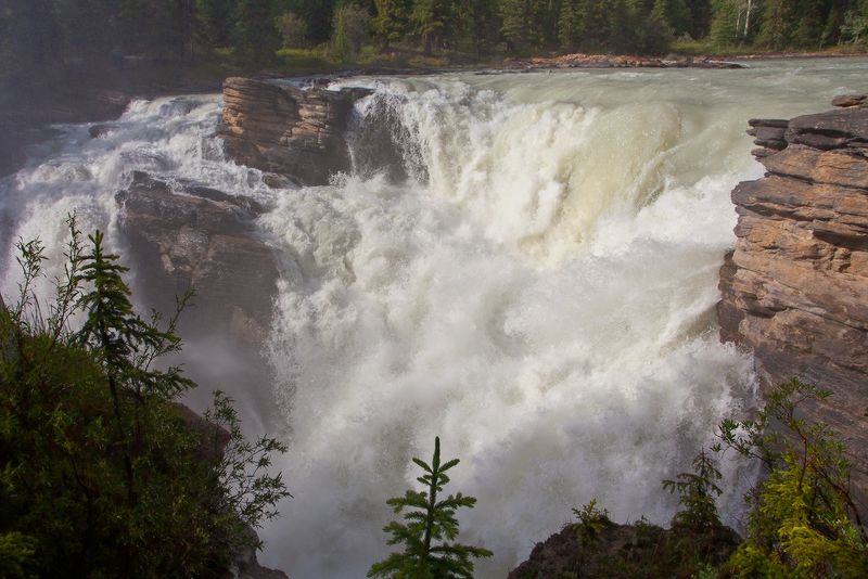 Athabasca Falls