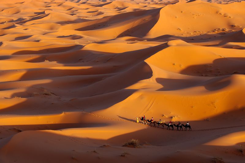 Merzouga Dunes with Caravan