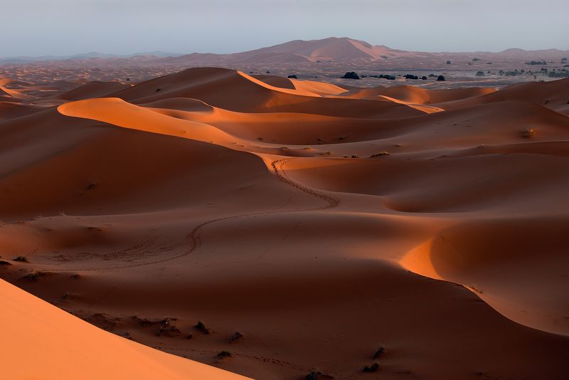Erg Chebbi Sunset