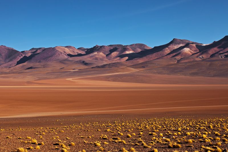 Siloli Desert