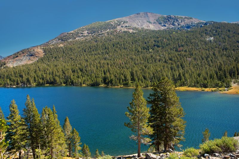 Tioga Lake and Peak