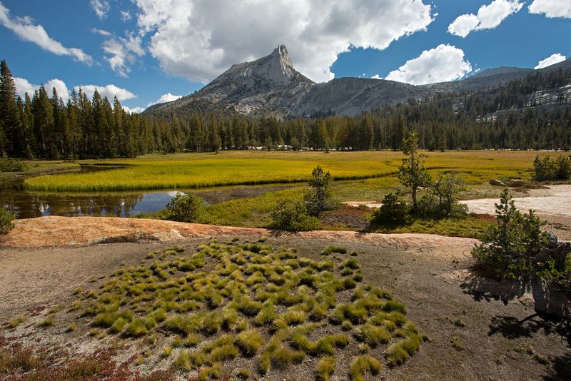 Lower Cathedral Lake: View towards Cathedral Peak