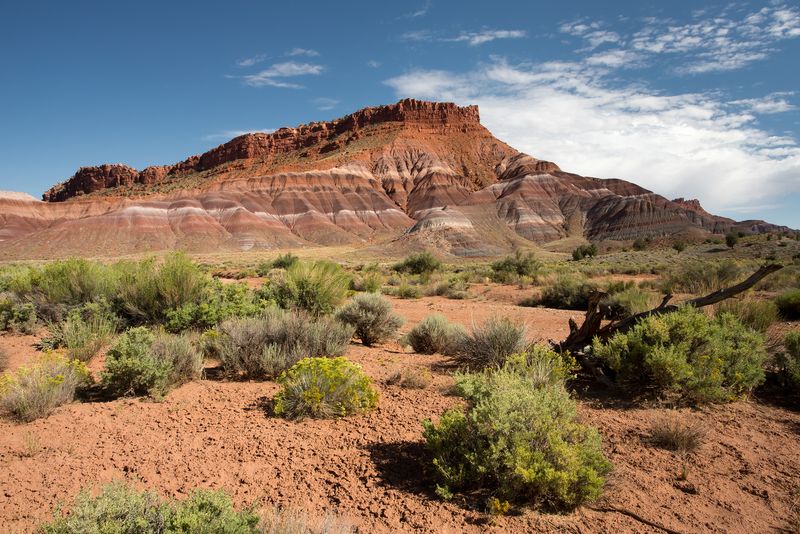 Chinle formation in the Paria Badlands