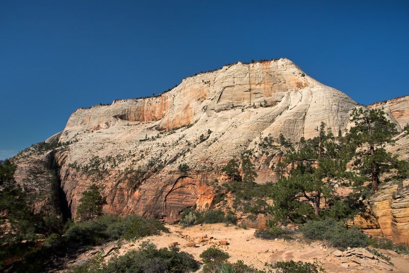 The Great White Throne