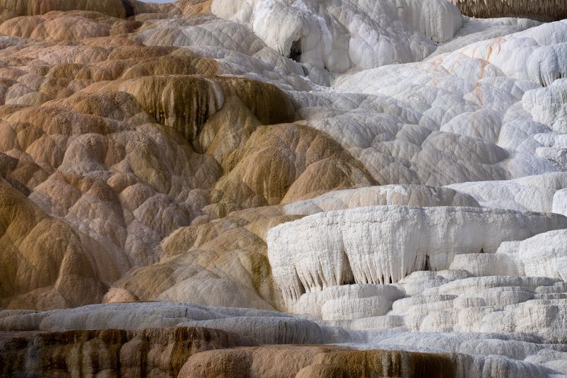 Palette Spring Texture, Mammoth Hot Springs