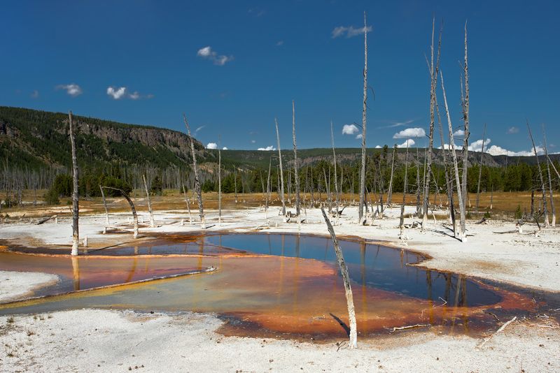 Opalescent Pool