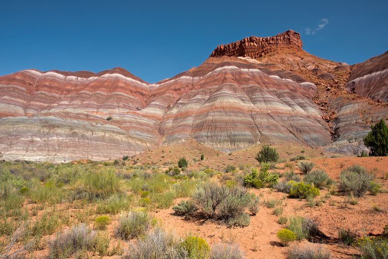 Chinle formation in the Paria Badlands
