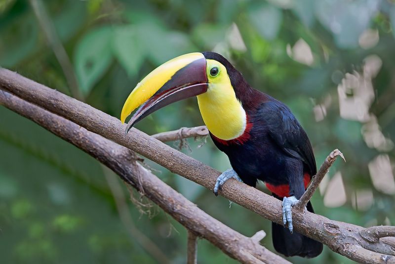 Costa Rica