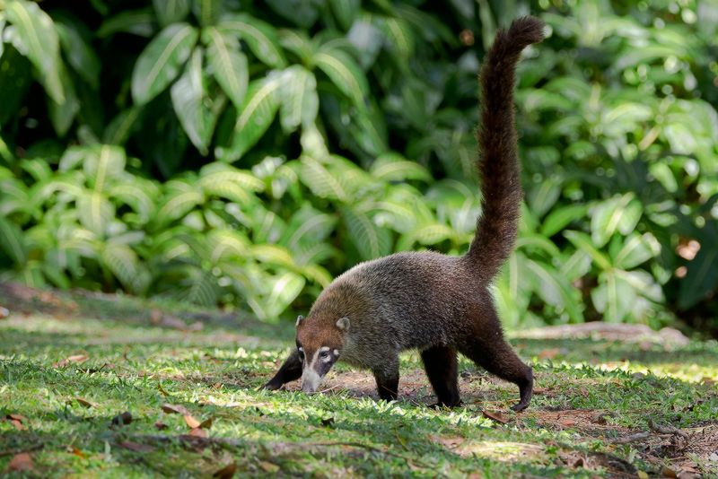 Costa Rica