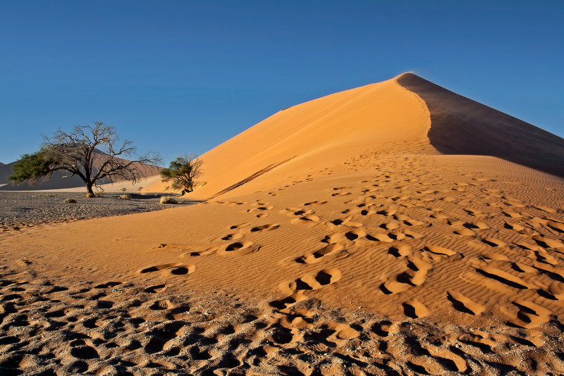 Desert Morning (Sunrise on Dune with Footprints)