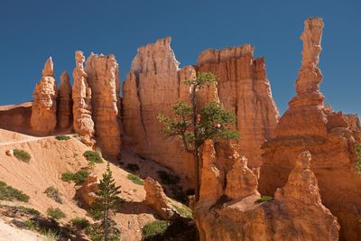 Featured Gallery
