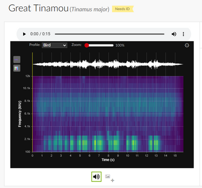 Screenshot 2025-08-15 090408.png
