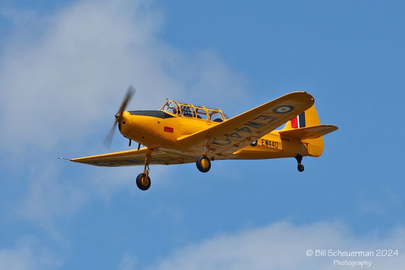 1IMG_7459 copy.jpg