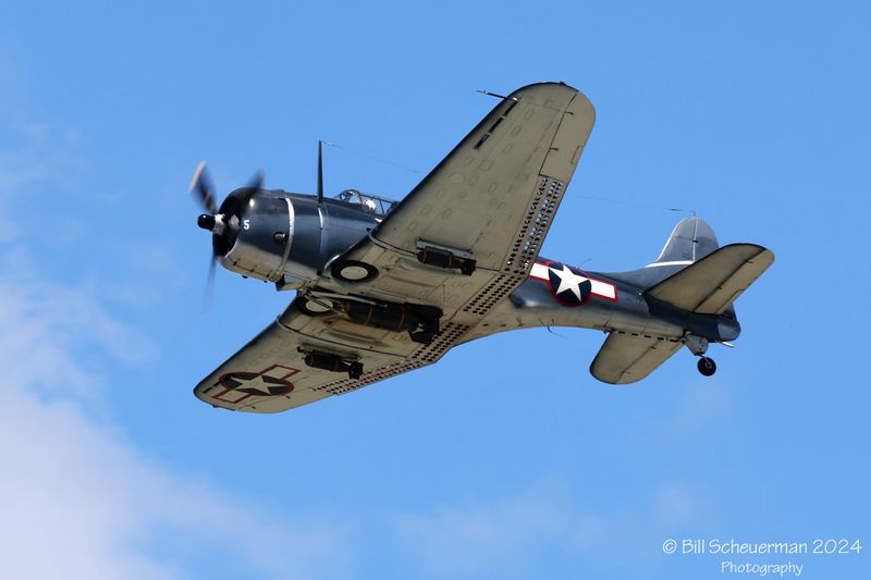 1IMG_7717 copy.jpg