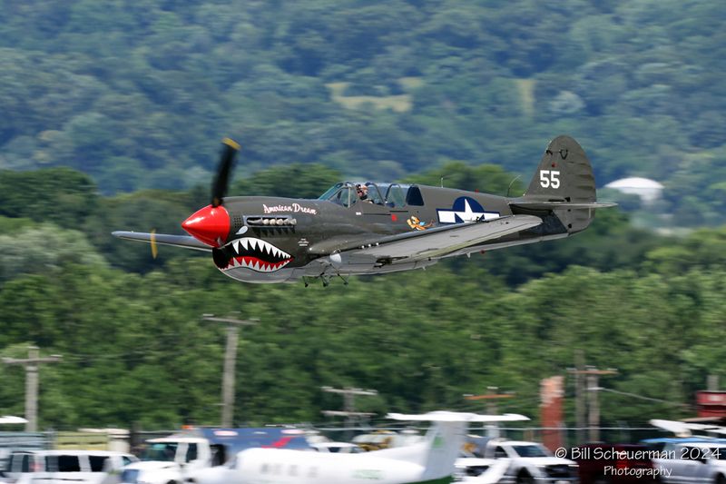 1IMG_7906 copy.jpg