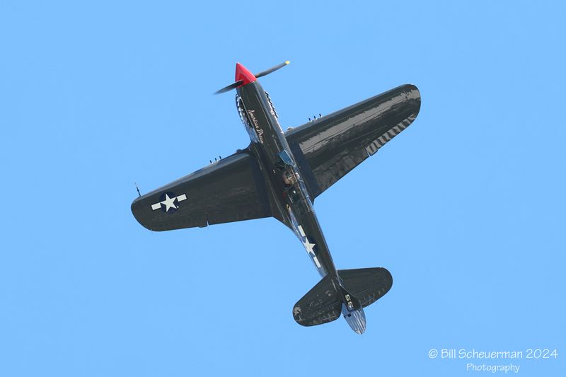 1IMG_8074 copy.jpg
