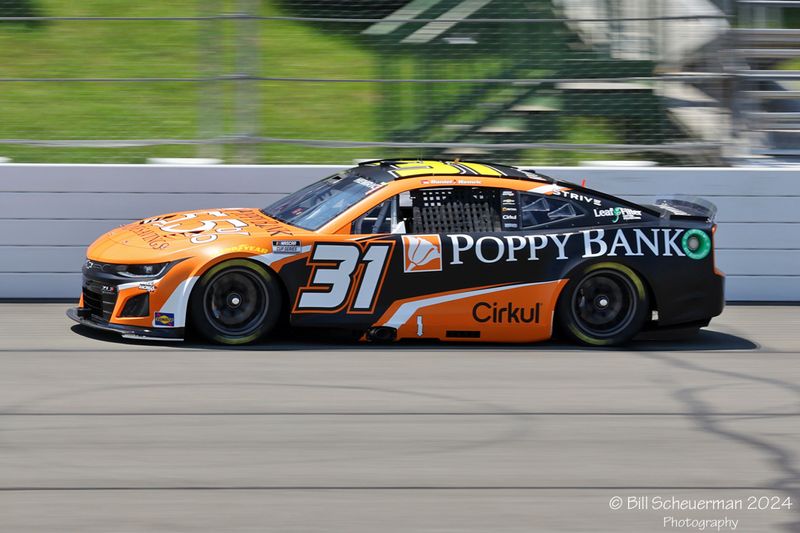 1IMG_0932 copy.jpg