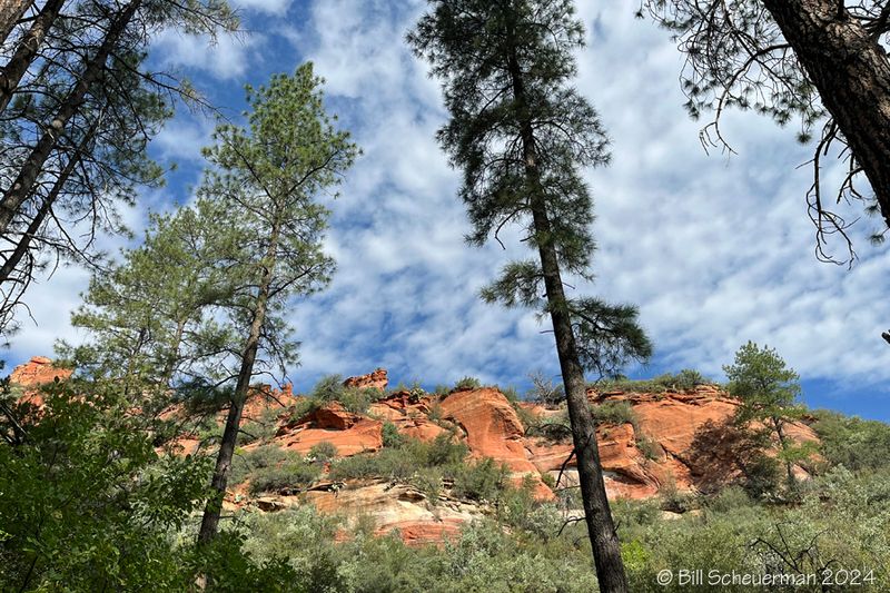 Slide Rock State Park Oak Creek Canyon AZ
