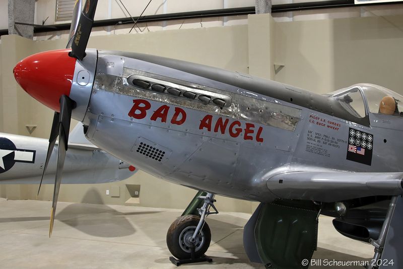 1IMG_0779 copy.jpg