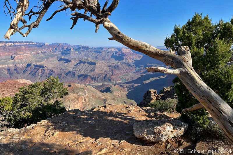 Arizona Road Trip and Wildlife