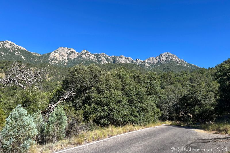 Entering Madera Canyon on way to Santa Rita Lodge